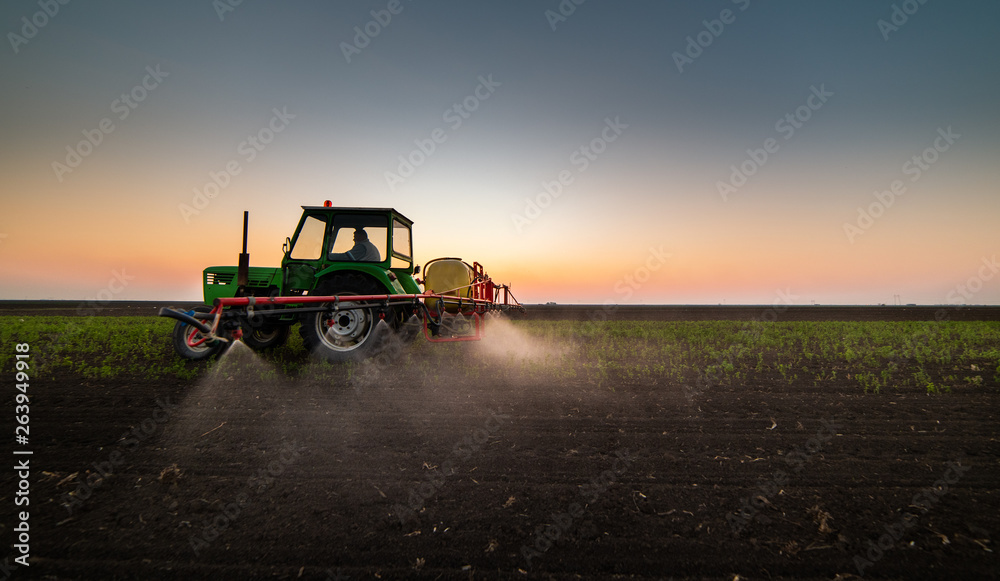 Fototapeta premium Tractor spraying pesticides at soy bean field