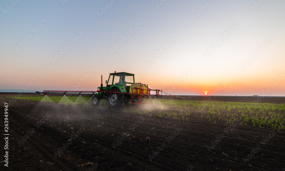 Fototapeta premium Tractor spraying pesticides at soy bean field