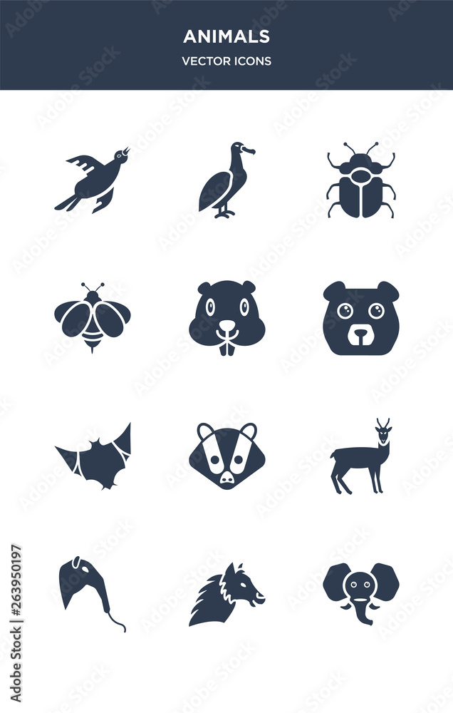 Obraz premium 12 animals vector icons such as elephant, alpaca, anteater, antelope, badger contains bat, bear, beaver, bee, beetle, albatross icons