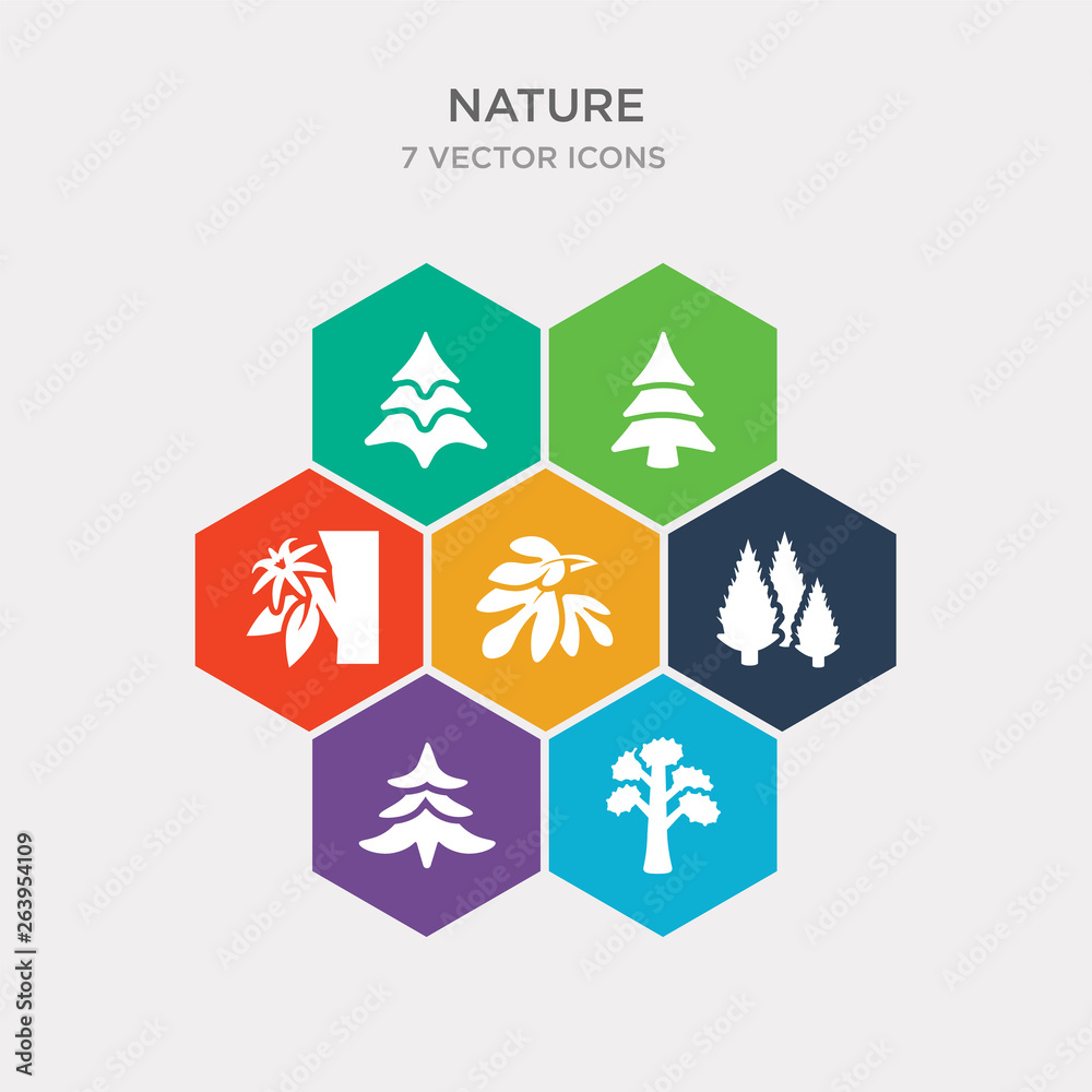 Vecteur Stock simple set of pitch pine tree, pine tree, eastern cedar