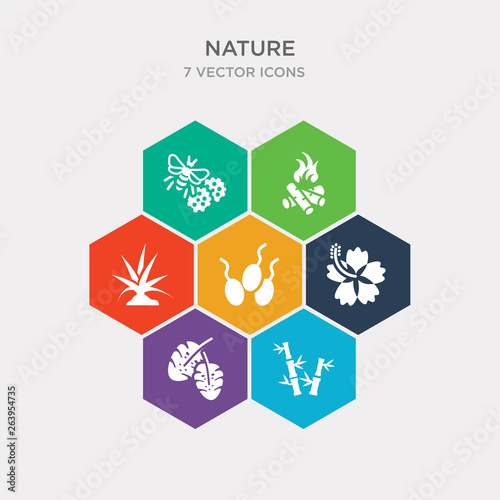 simple set of bamboo sticks, leaf monstera, hibiscus, fertilize clinic icons, contains such as icons yucca, camping bonfire, pollen and more. 64x64 pixel perfect. infographics vector