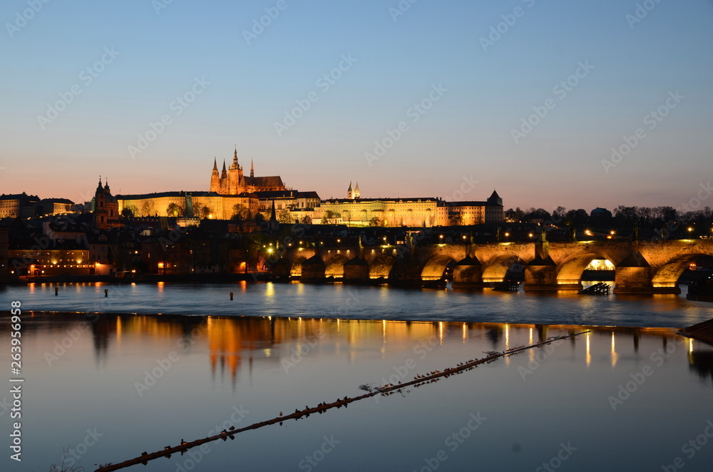 Fototapeta premium Charles Bridge in Prague with seagulls at night