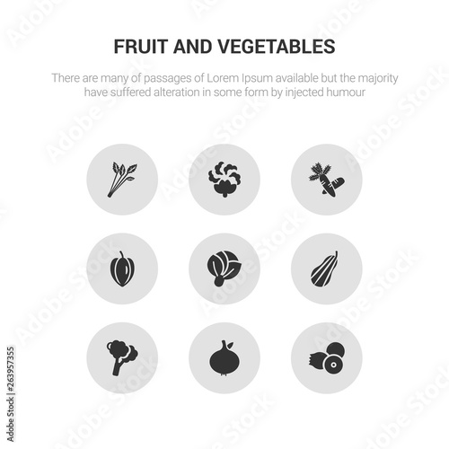 9 round vector icons such as berries, breast milk fruit, broccoli, butternut squash, cabbage contains carambola, carrots, cauliflower, celery. berries, breast milk fruit, icon3_, gray fruit and