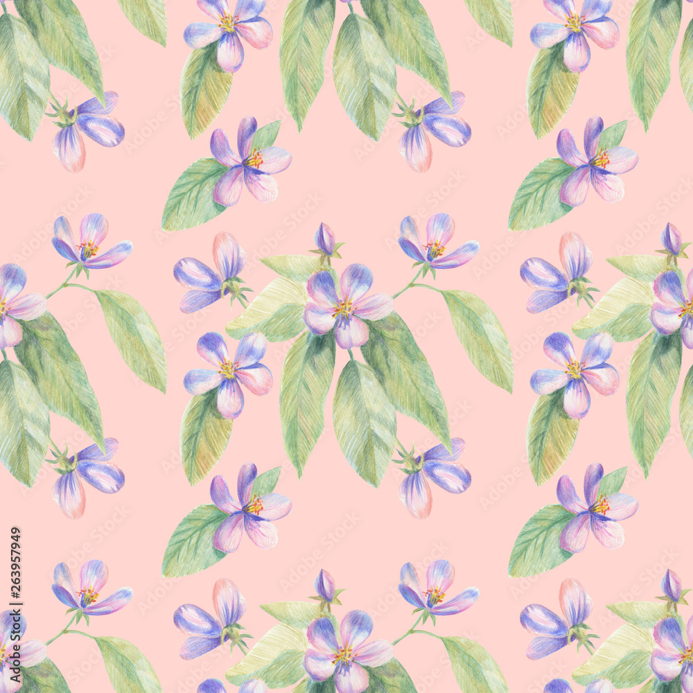 Flowers of apple Sakura drawing with colored pencils. Template for greeting card. Wedding card Flowers of apple Sakura drawing with colored pencils. Template for greeting card. Wedding card