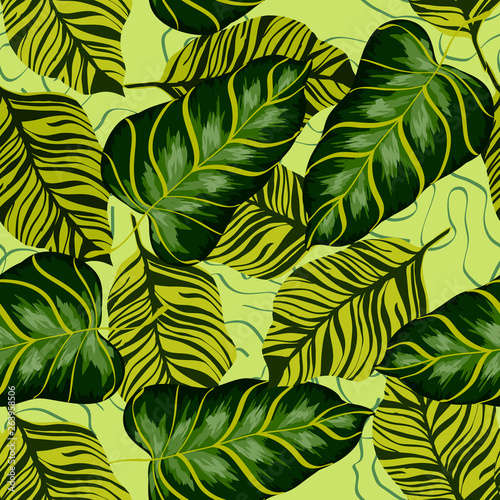 Tropical leaves realistic seamless pattern. Banana leaf and palm tree. Hawaiian exotic background with tropical plants.