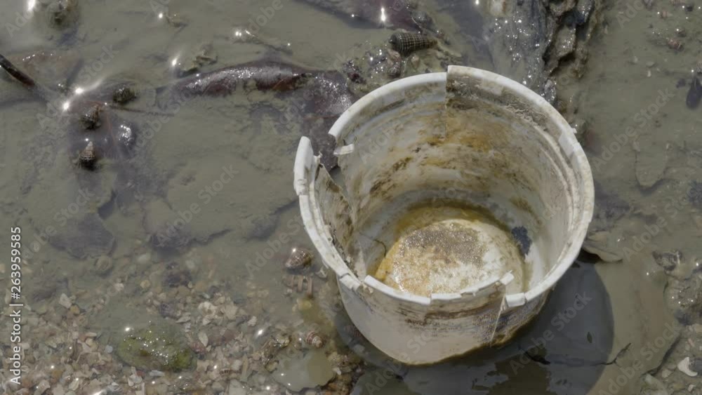 Close up plastic cup garbage on sea shore, small animals is around Close up plastic cup garbage on sea shore, small animals is around