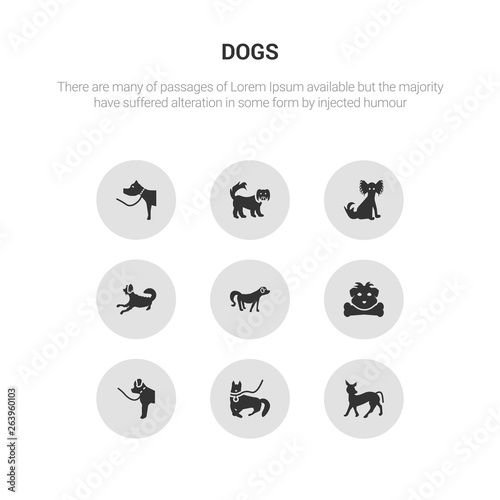 9 round vector icons such as mexican hairless dog dog, mudi dog, newfoundland norfolk terrier nova scotia duck tolling retriever contains otterhound papillon pekingese pitbull mexican hairless mudi