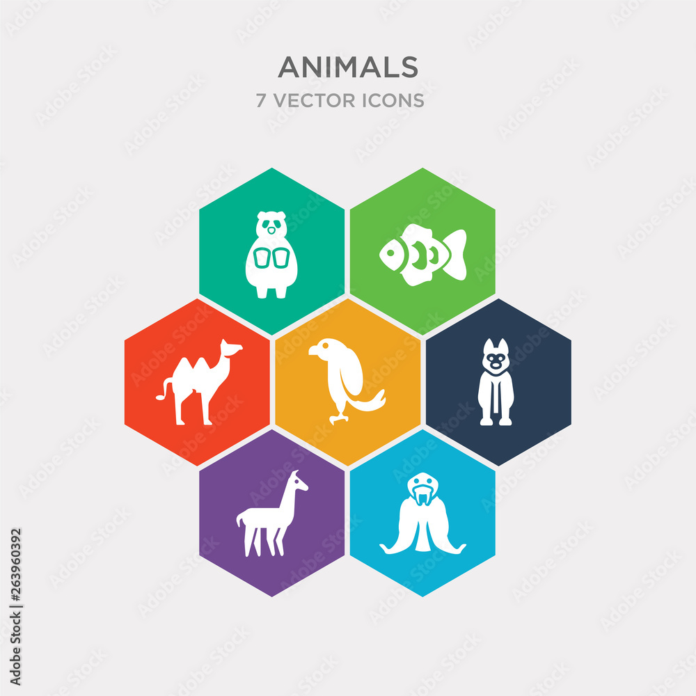 simple set of walrus, llama, siberian husky, macaw icons, contains such as icons camel, clown fish, panda and more. 64x64 pixel perfect. infographics vector simple set of walrus, llama, siberian husky, macaw icons, contains such as icons camel, clown fish, panda and more. 64x64 pixel perfect. infographics vector
