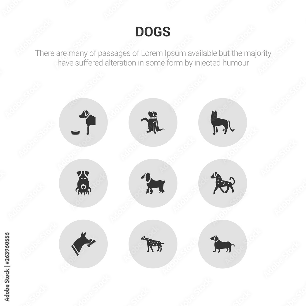 9 round vector icons such as dachshund dog, dalmatian dog, doberman dog, english setters field spaniel contains fox terrier german shepards goldador golden retriever dachshund dalmatian icon3_, gray