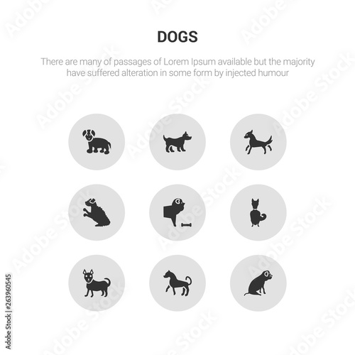 9 round vector icons such as bulldog, cane corso dog, chihuahua dog, chinook dog, chow chow contains cockapoo cocker spaniel corgi coton de tulear bulldog, cane corso icon3_, gray dogs icons