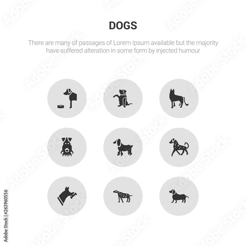 9 round vector icons such as dachshund dog, dalmatian dog, doberman dog, english setters field spaniel contains fox terrier german shepards goldador golden retriever dachshund dalmatian icon3_, gray