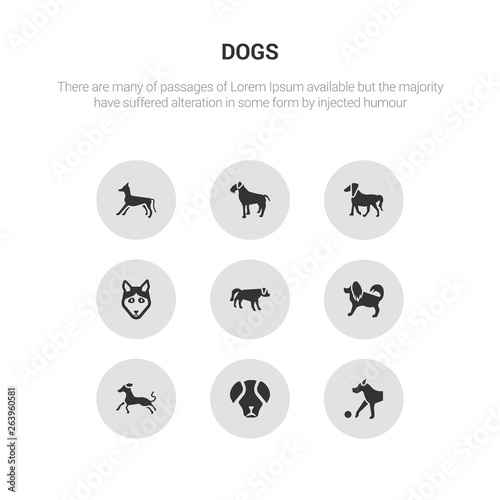 9 round vector icons such as great dane dog, great pyrenees dog, greyhound dog, havanese hovawart contains husky irish setter irish terrier italian greyhound great dane pyrenees icon3_, gray dogs