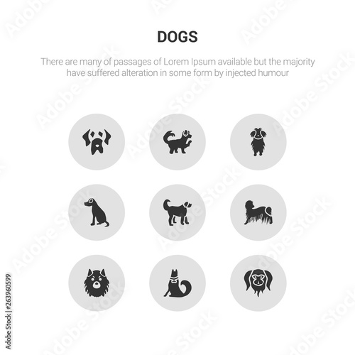 9 round vector icons such as japanese chin dog  jindo dog  keeshond dog  komondor labradoodle contains vizsla maltese maltipoo mastiff japanese chin jindo icon3_  gray dogs icons