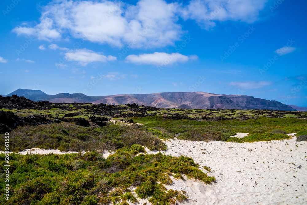 Spain, Lanzarote, Green vegetation and white sand at a beach of orzola with view to famara mountains Spain, Lanzarote, Green vegetation and white sand at a beach of orzola with view to famara mountains