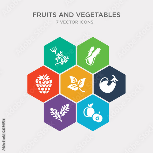 simple set of apricot, arugula, aubergine, basil icons, contains such as icons blackberry, celery, dill and more. 64x64 pixel perfect. infographics vector