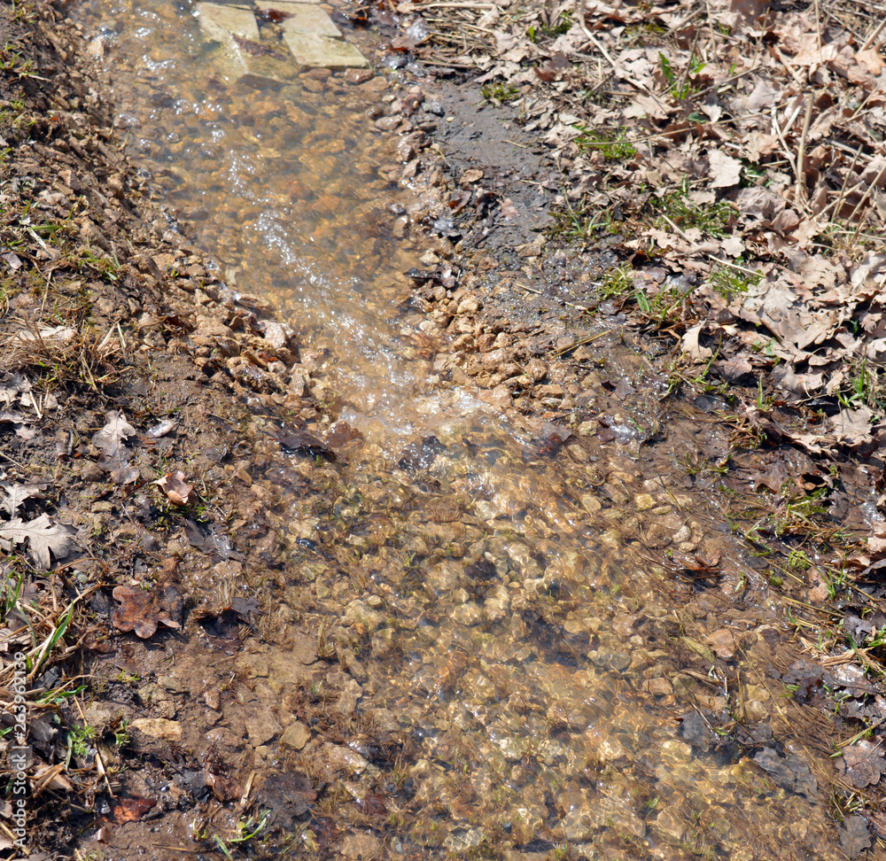 the road with flowing water stream on the rocks in the forest in the spring the road with flowing water stream on the rocks in the forest in the spring