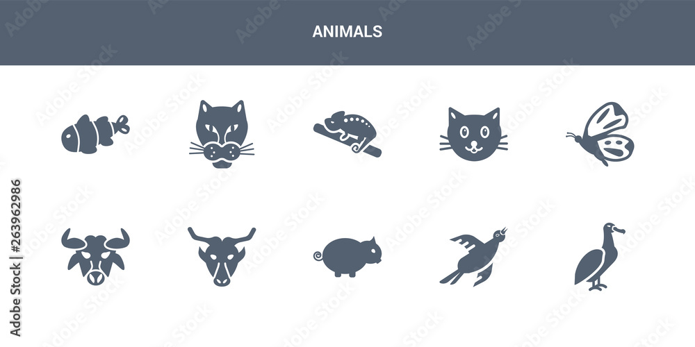10 animals vector icons such as albatross, bird, boar, buffalo, bull contains butterfly, cat, chameleon, cheetah, clown fish. animals icons 10 animals vector icons such as albatross, bird, boar, buffalo, bull contains butterfly, cat, chameleon, cheetah, clown fish. animals icons