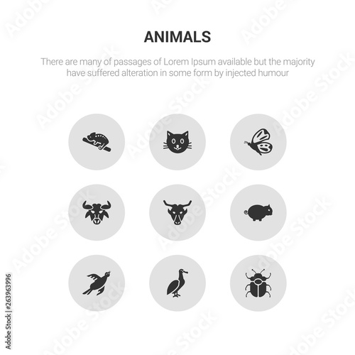 9 round vector icons such as beetle, albatross, bird, boar, buffalo contains bull, butterfly, cat, chameleon. beetle, albatross, icon3_, gray animals icons