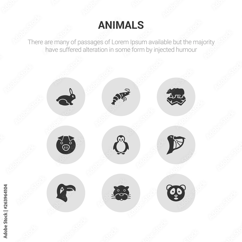 9 round vector icons such as panda bear, panther, parrot, pelican, penguin contains pig, polar bear, prawn, rabbit. panda bear, panther, icon3_, gray animals icons