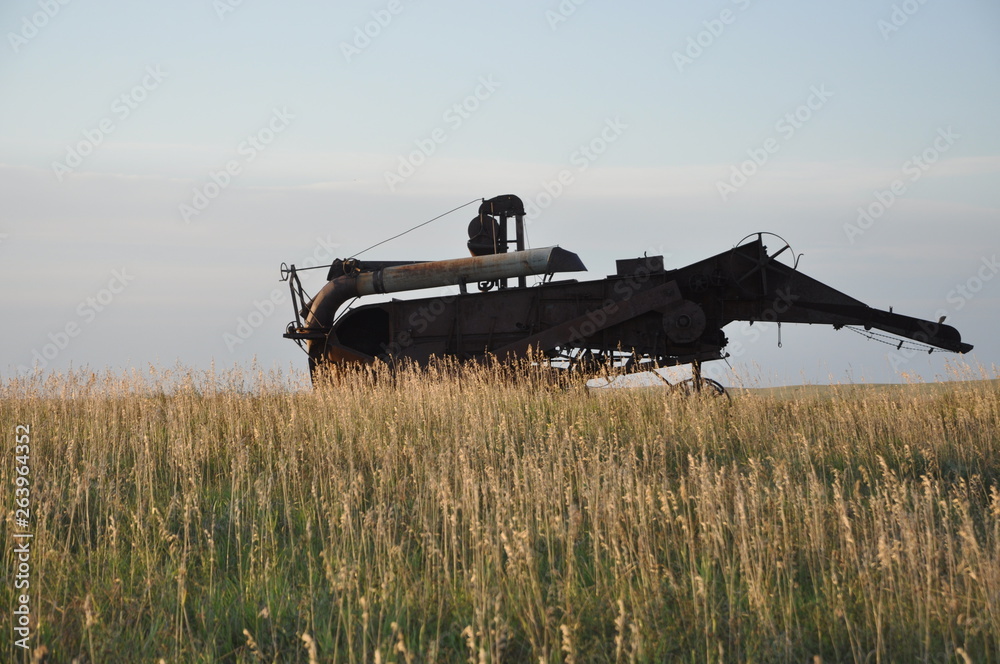 Fototapeta premium Prairie Dinosaur
