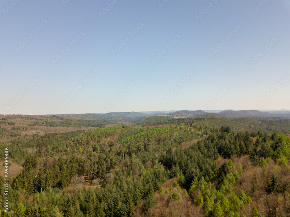 Pfalz bei Dahn im Frühling