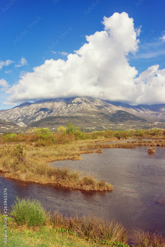 Wetland landscape. Montenegro. View of special botanical and animal reserve Tivat Salina  ( Tivatska Solila ) on a sunny spring day