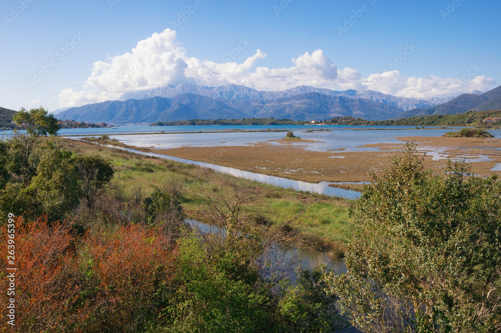 Wetland landscape. Montenegro. View of special botanical and animal reserve Tivat Salina  ( Tivatska Solila ) on a sunny spring day