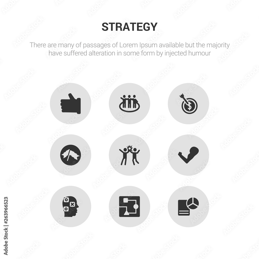 9 round vector icons such as strategy management, strategy sketch, strategy thought, strength, success contains success flag, target, team, thumb up. management, sketch, icon3_, gray icons