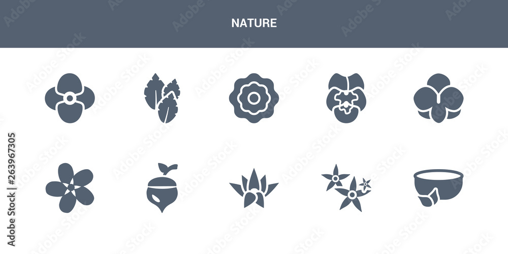 10 nature vector icons such as natural medical pills, neroli, nymphea, oak, oleander contains orchid, pansy, peony, peppermint, petunia. nature icons