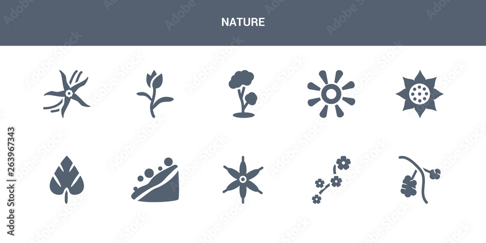 10 nature vector icons such as rowan, sakura, sisyrinchium, snowslide, spear shaped contains sunrise, sunset, tree, tulip, vanilla. nature icons