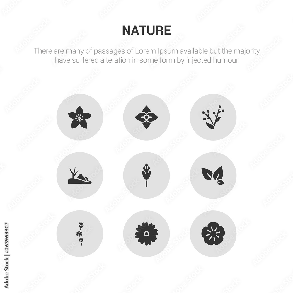 9 round vector icons such as geranium, gerbera, gladiolus, tea, hawthorn contains hills, hyacinth, hydrangea, hypericum. geranium, gerbera, icon3_, gray nature icons