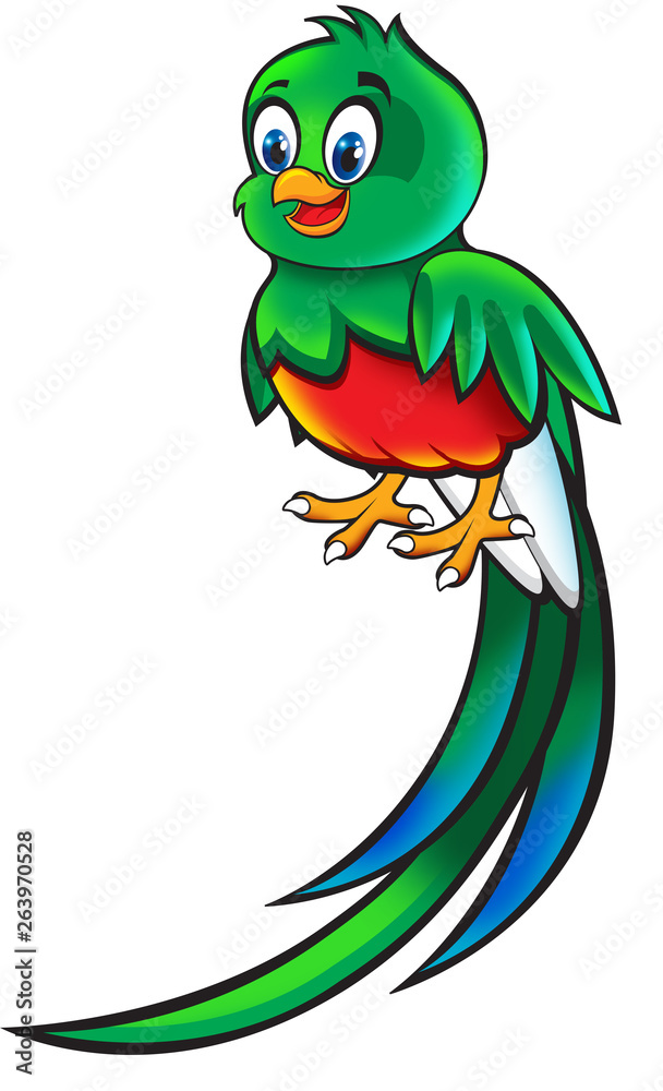 Quetzal caricatura ave tropical verde y rojo ilustración de Stock | Adobe  Stock
