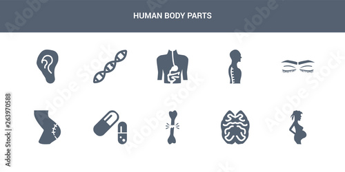 10 human body parts vector icons such as woman pregnant, brain upper view, broken bone, capsule black and white variant, cellulite contains closed eyes with lashes and brows, column inside a male