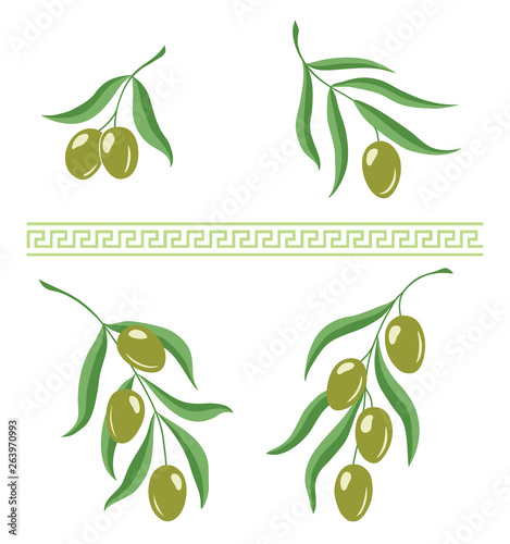 Illustration of olive branches and greek meandros ornament brush for design