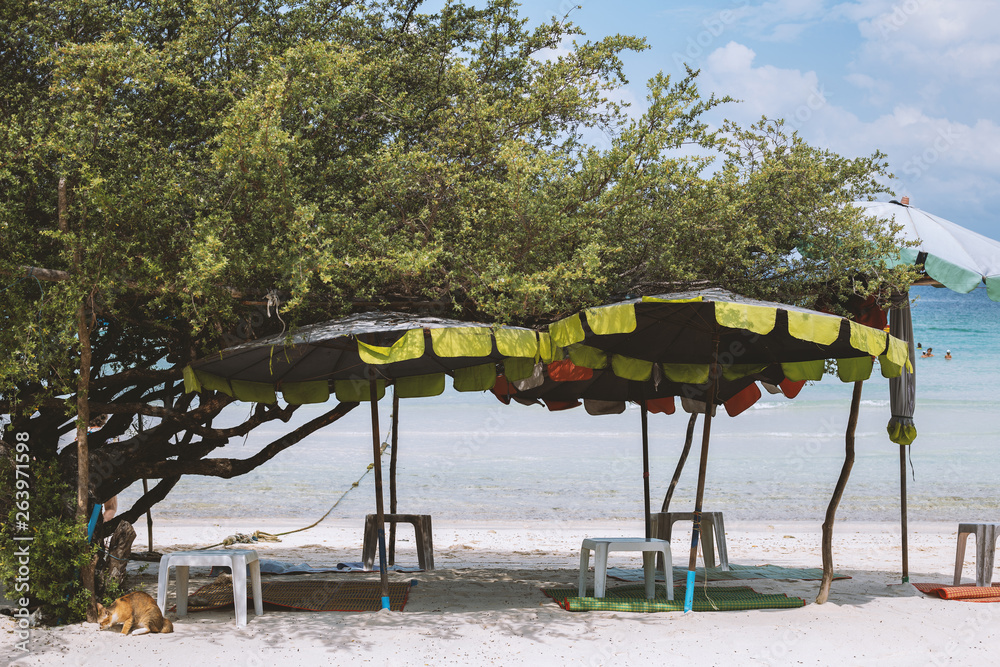 umbrellas on the beach in Thailand umbrellas on the beach in Thailand