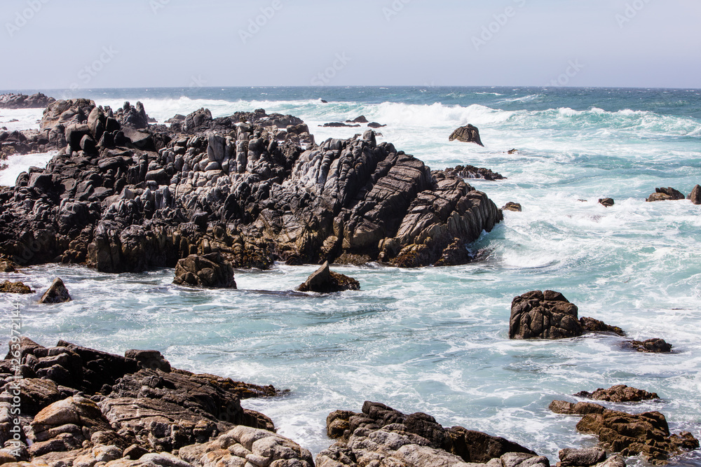 The nutrient-rich waters of the Pacific Ocean washes against the beautiful, rocky California coastline just south of Monterey Bay. This area is known for its spectacular natural scenery.