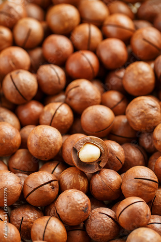 Texture of organic macadamia nut fresh natural fruit shelled one nut in full frame close-up view