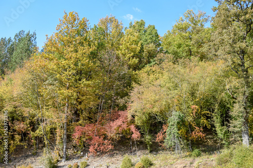 View over the surroundings hills and mountains during autumn, Macedonia