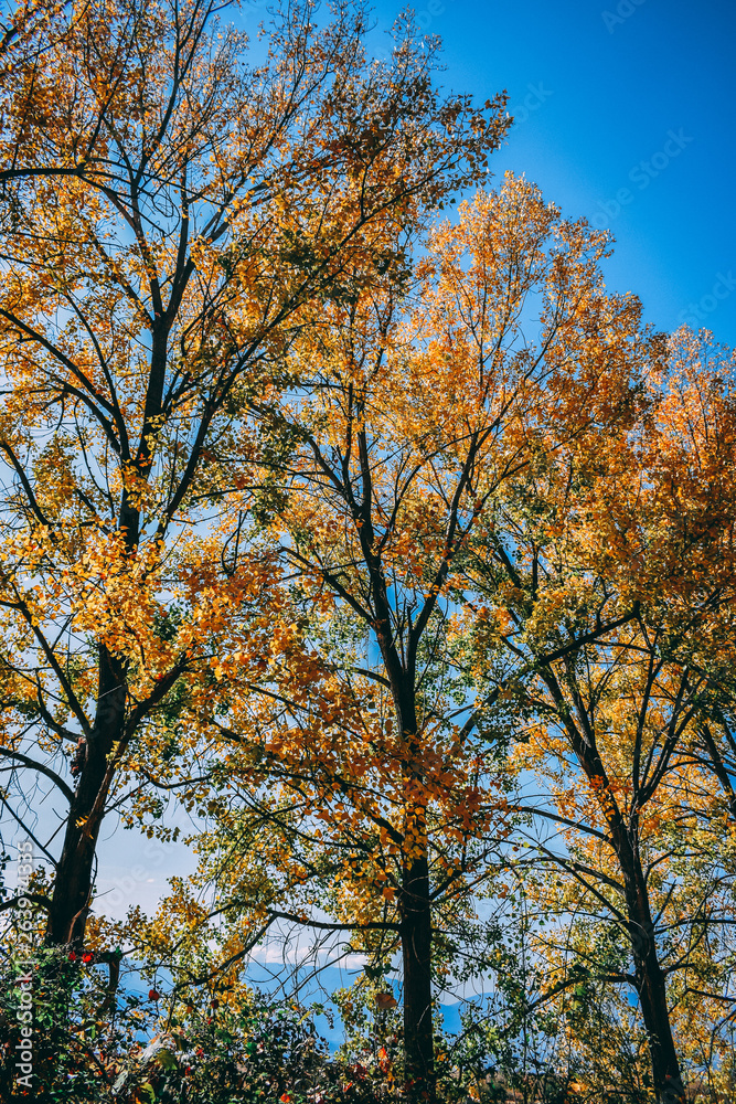 Fototapeta premium Autumn in North Macedonia