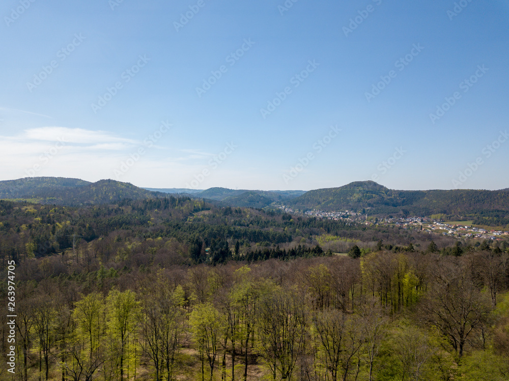 Pfalz bei Dahn im Frühling