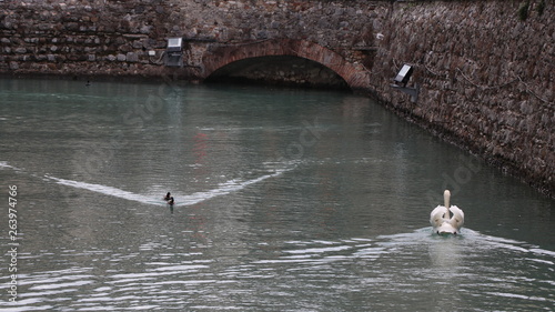 Nelle mura di Sirmione