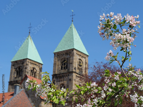 Frühling in Legden im Münsterland photo