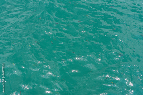 Light waves on the surface of the emerald sea