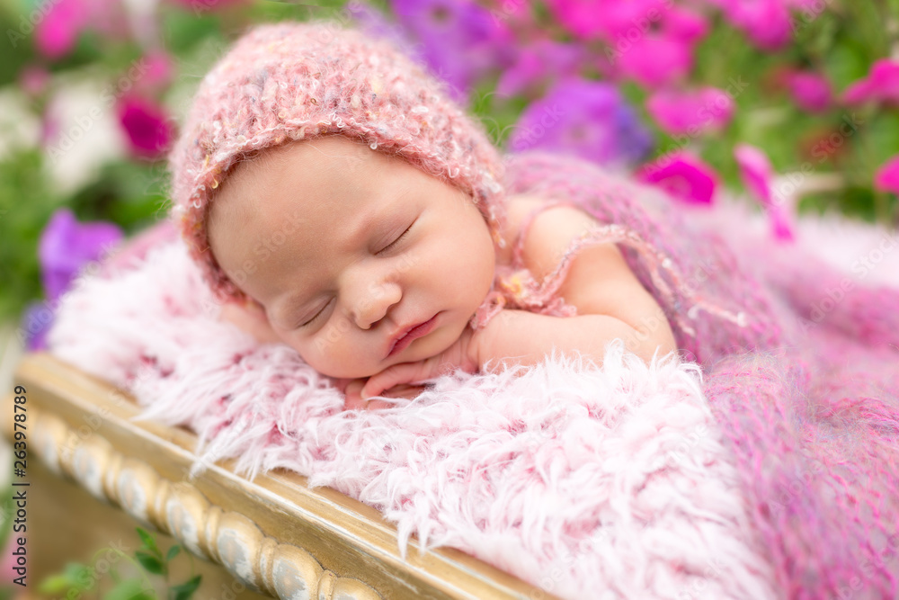 newborn child. newborn photo shoot . newborn baby in flowers newborn child. newborn photo shoot . newborn baby in flowers