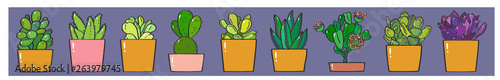 Succulents horizontal banner