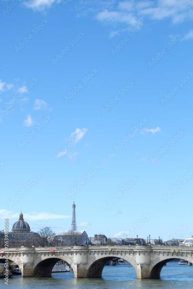 Obraz premium Seine River in Paris