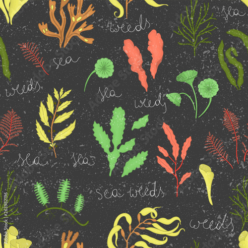 Vector colored seamless pattern of seaweeds isolated on black textured background. Colorful repeating marine background. Underwater vintage illustration