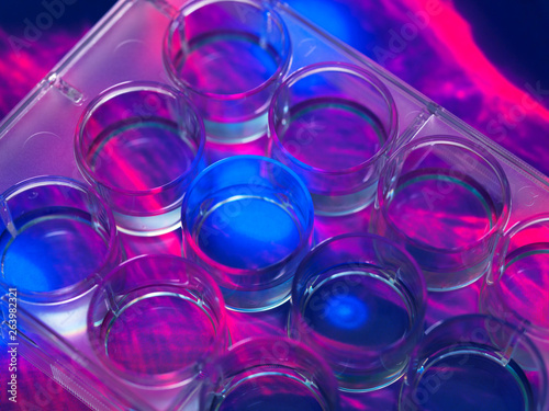 Stem cells cultivated red growth medium in a culture jar with the microscope image of the cell structure in the background