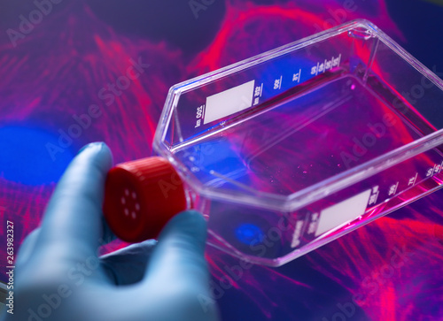 Cell biologist viewing stem cells cultivated red growth medium in a culture jar with the microscope image of the cell structure in the background