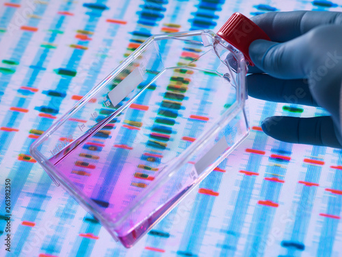 Genetic Engineering, Scientist viewing cells in a culture jar with a DNA profiles on a screen in the background illustrating gene editing photo